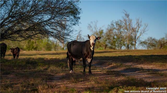 Image 41 of 48 For 15145 Alternate 90