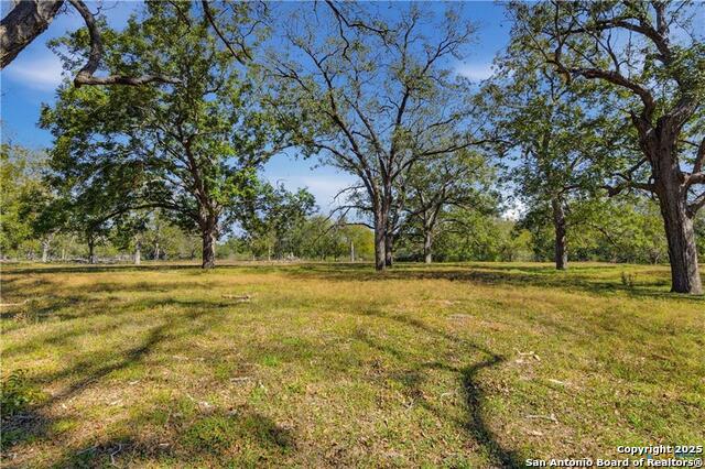 Image 7 of 48 For 15145 Alternate 90