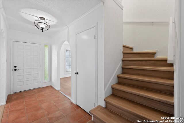 Image 10 of 32 For 2631 Turkey Oak