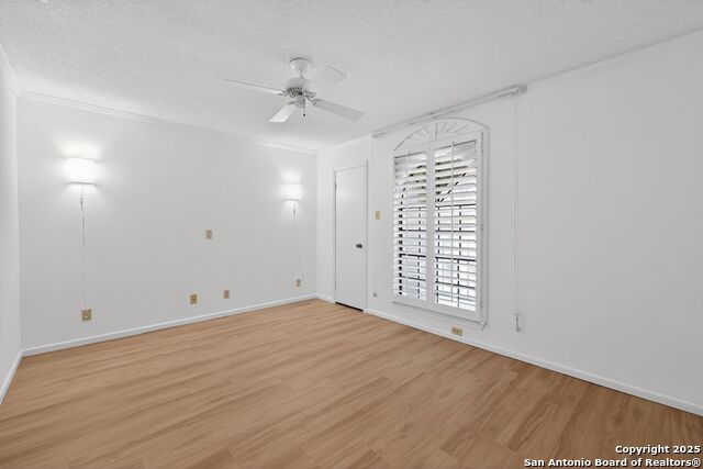 Image 14 of 32 For 2631 Turkey Oak