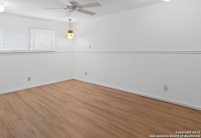 Image 18 of 32 For 2631 Turkey Oak