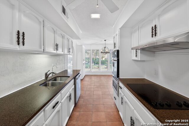 Image 19 of 32 For 2631 Turkey Oak