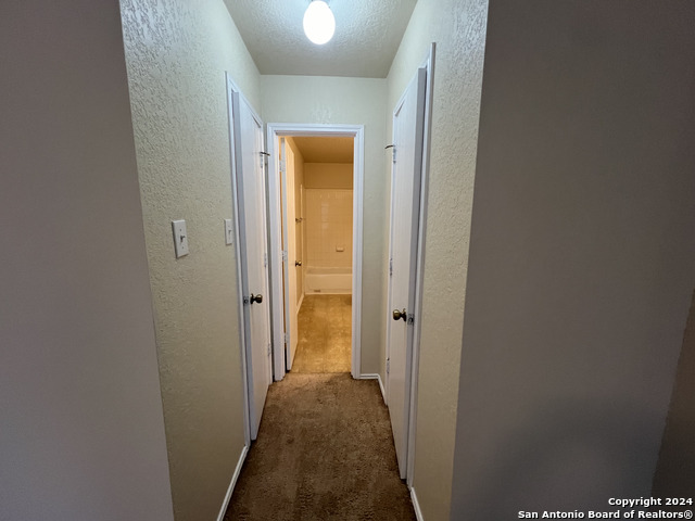 Image 14 of 20 For 10118 Figaro