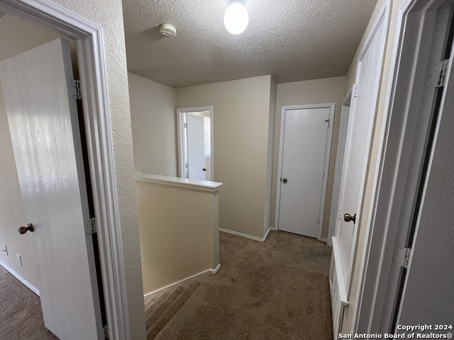 Image 15 of 20 For 10118 Figaro