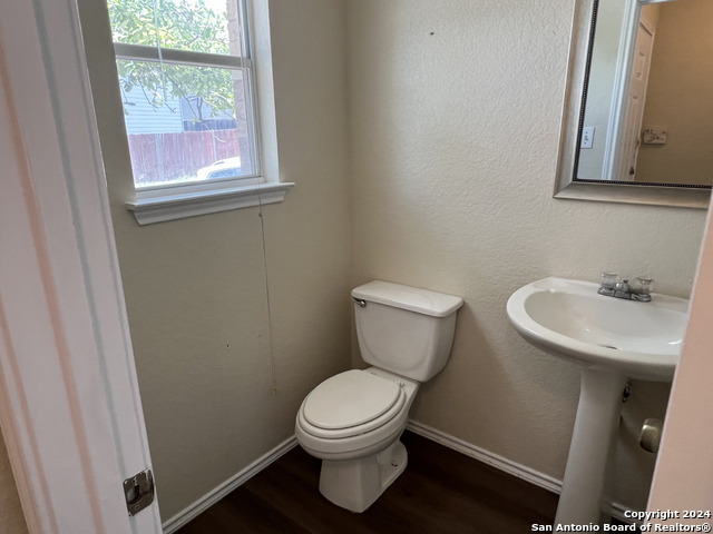 Image 4 of 20 For 10118 Figaro