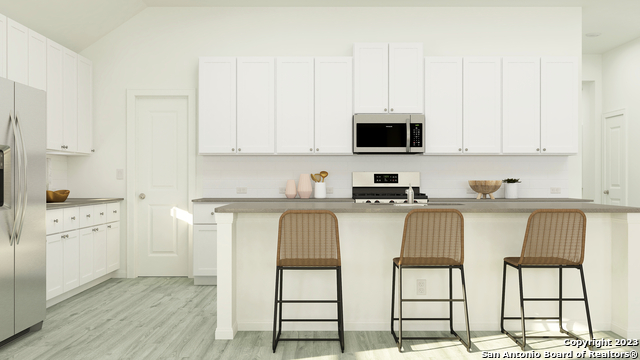 Image 10 of 24 For 1915 Bonelli Eagle