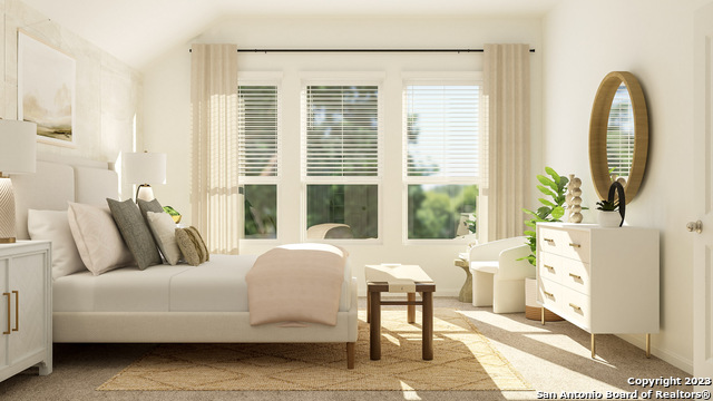 Image 18 of 24 For 1915 Bonelli Eagle