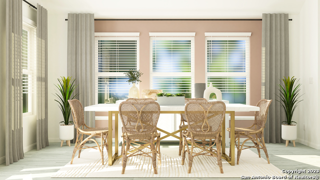 Image 7 of 24 For 1915 Bonelli Eagle