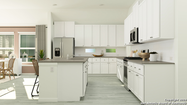 Image 9 of 24 For 1915 Bonelli Eagle