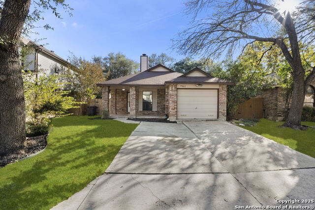 Image 2 of 30 For 7562 Beaver Tree