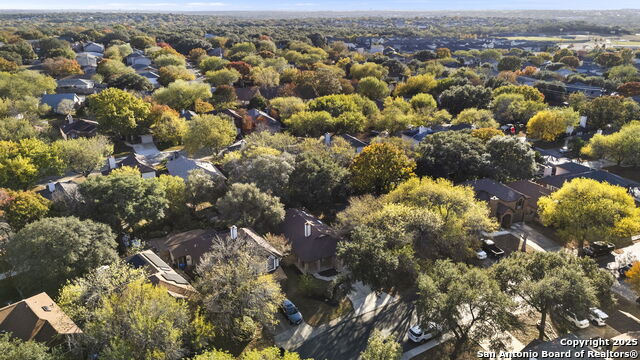 Image 29 of 30 For 7562 Beaver Tree