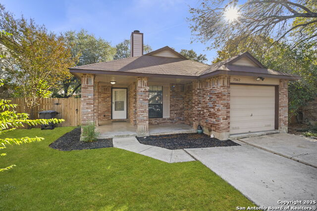 Image 3 of 30 For 7562 Beaver Tree