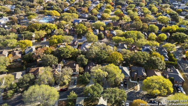 Image 30 of 30 For 7562 Beaver Tree