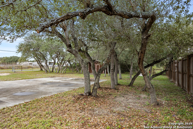 Image 18 of 20 For 118 Walker S