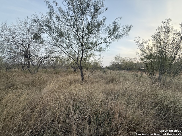 Listing photo id 0 for 113 Cr 2672  