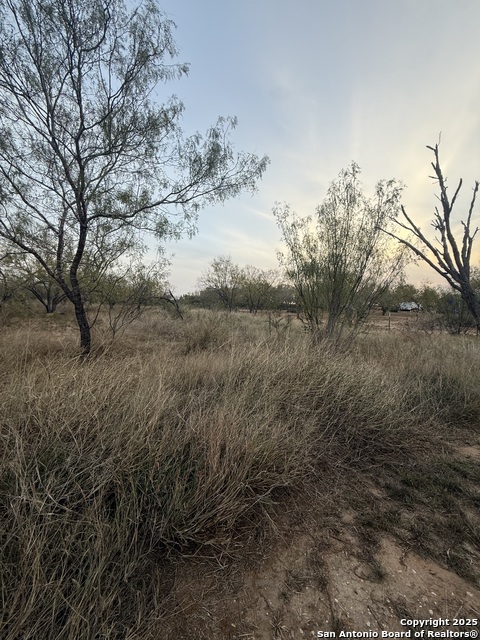 Listing photo id 1 for 113 Cr 2672  