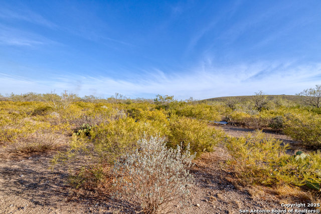 Image 14 of 30 For 8686 Us Highway 90