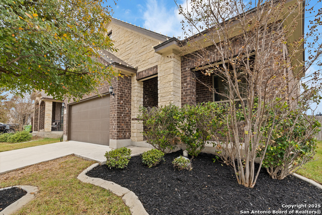 Image 16 of 39 For 13905 Bellows