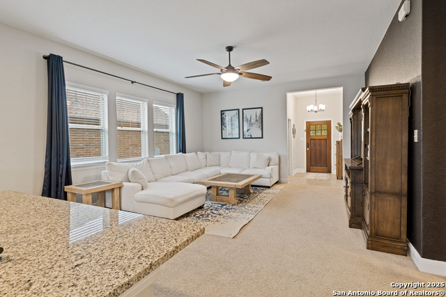 Image 6 of 39 For 13905 Bellows