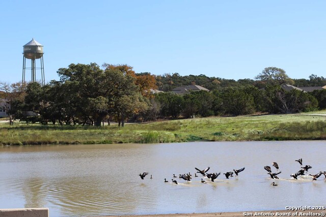 Image 23 of 26 For 110 Carino Cove