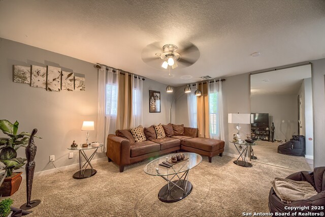 Image 14 of 29 For 4339 Bright Sun