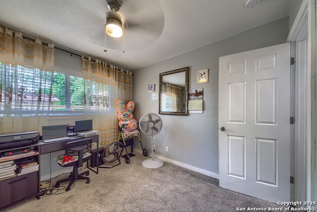 Image 20 of 29 For 4339 Bright Sun