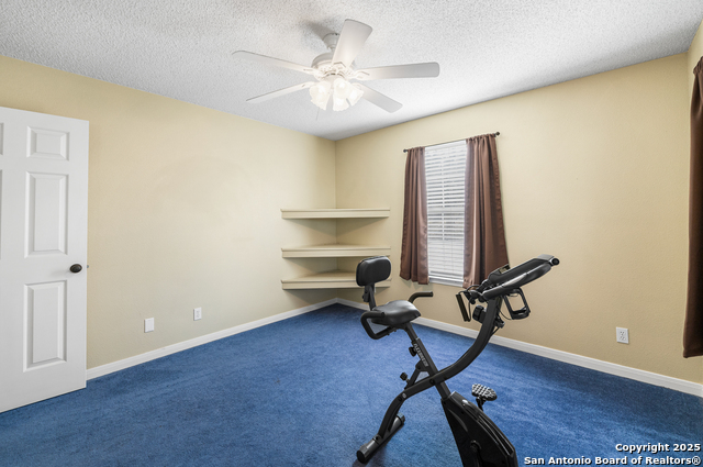 Image 24 of 76 For 26371 Dull Knife