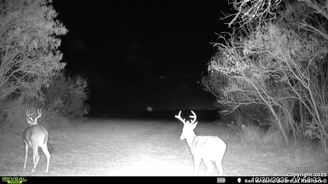 Listing photo id 9 for 00 County Road 215