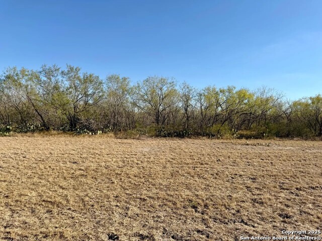 Listing photo id 10 for 00 County Road 215