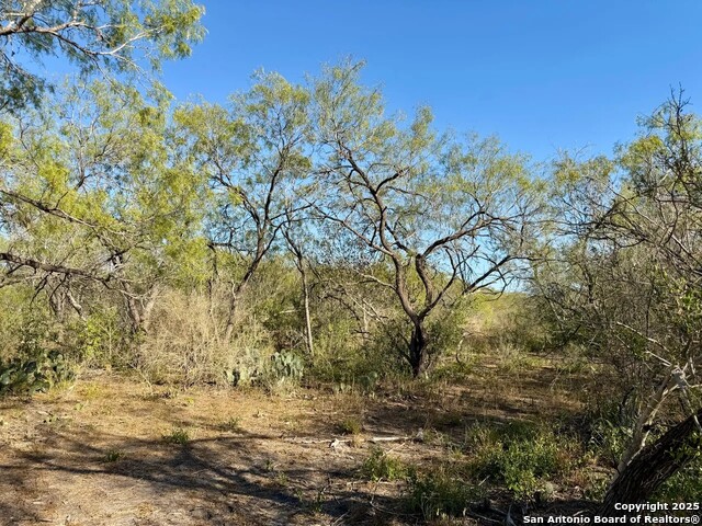 Listing photo id 12 for 00 County Road 215