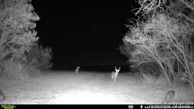 Listing photo id 15 for 00 County Road 215