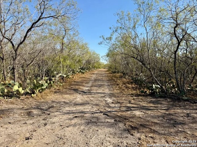 Listing photo id 16 for 00 County Road 215