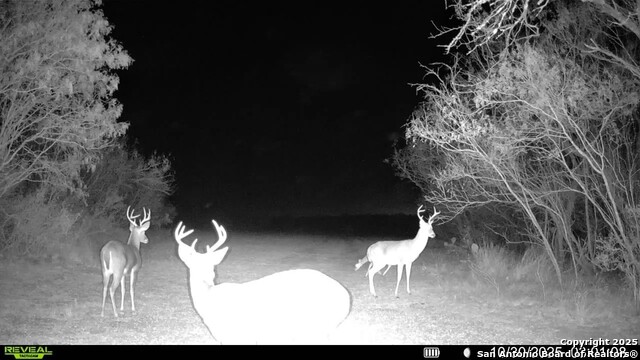 Listing photo id 17 for 00 County Road 215