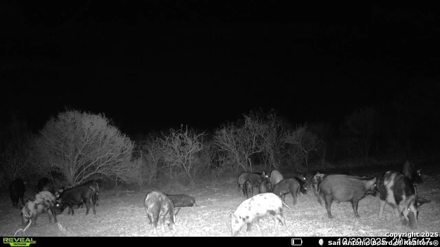 Listing photo id 19 for 00 County Road 215