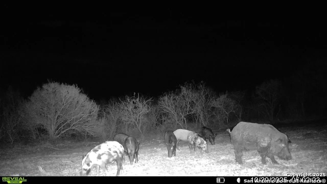 Listing photo id 23 for 00 County Road 215