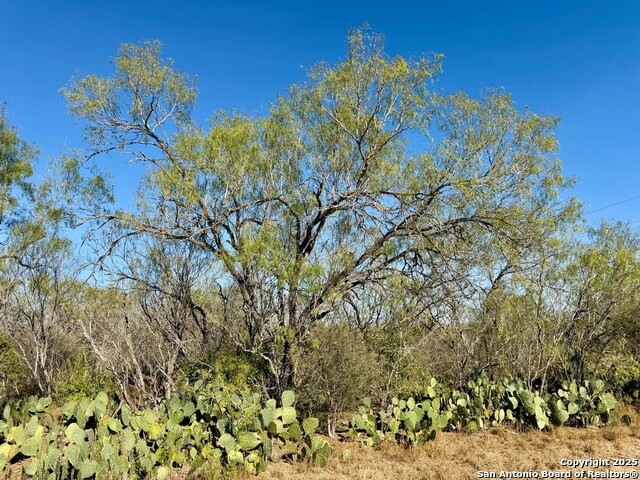 Listing photo id 25 for 00 County Road 215