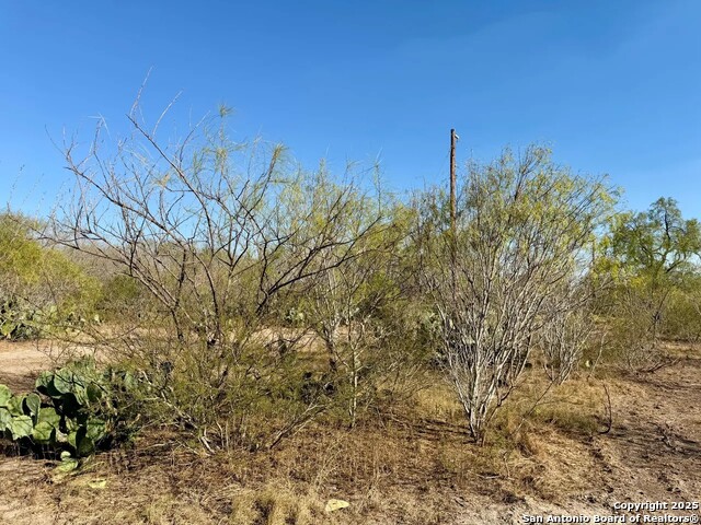 Listing photo id 26 for 00 County Road 215