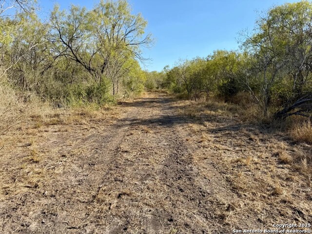 Listing photo id 1 for 00 County Road 215