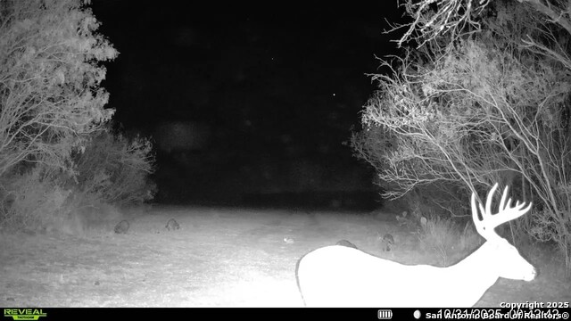 Listing photo id 28 for 00 County Road 215