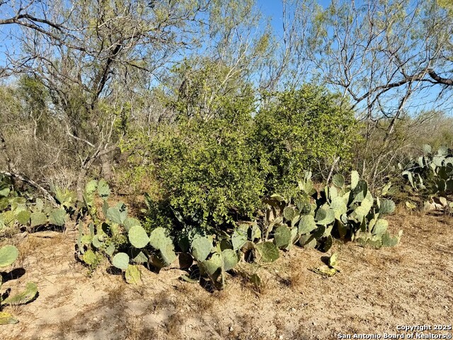 Listing photo id 29 for 00 County Road 215