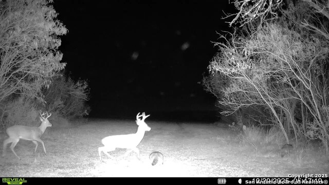 Listing photo id 31 for 00 County Road 215