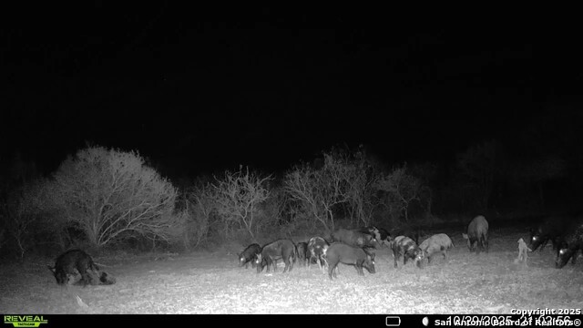 Listing photo id 33 for 00 County Road 215