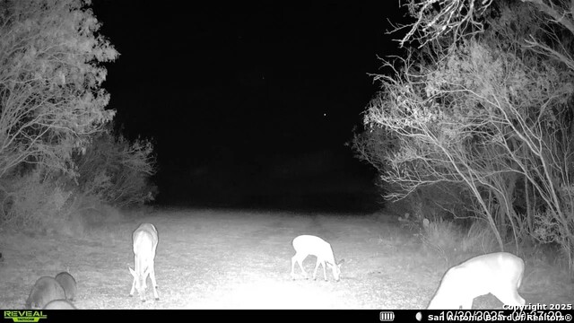 Listing photo id 2 for 00 County Road 215