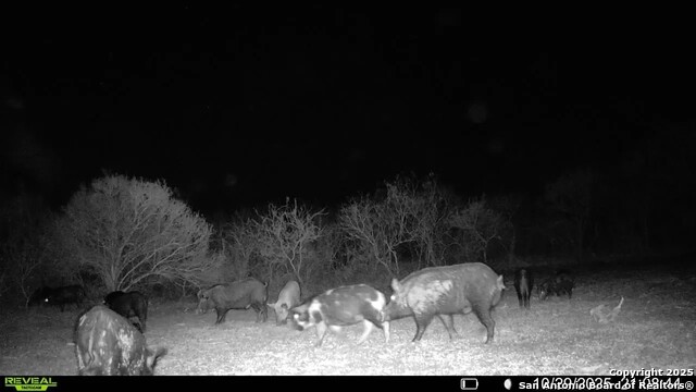 Listing photo id 3 for 00 County Road 215