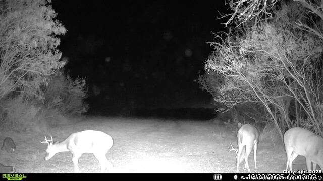 Listing photo id 6 for 00 County Road 215