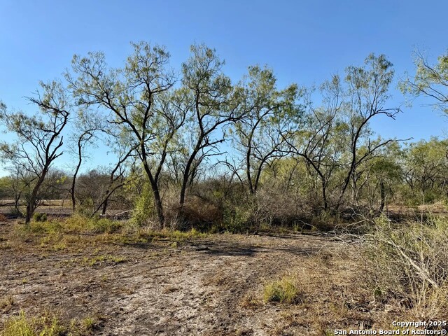 Listing photo id 7 for 00 County Road 215