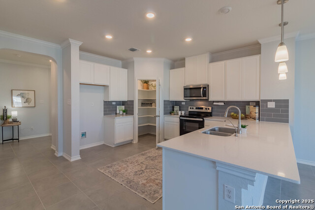 Image 11 of 36 For 14859 Wild Hog