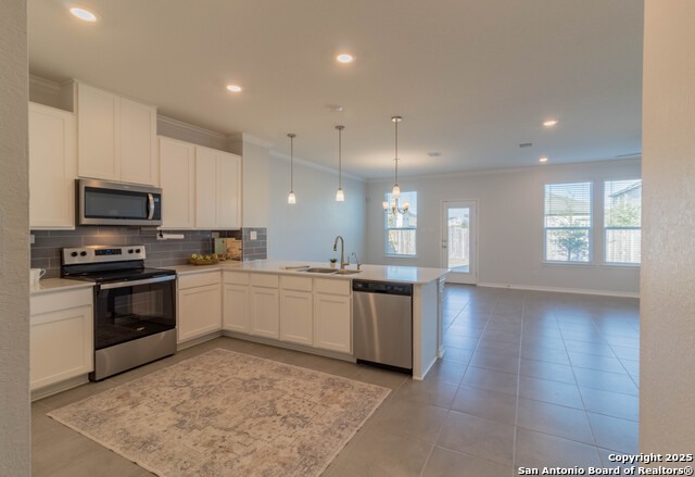 Image 12 of 36 For 14859 Wild Hog