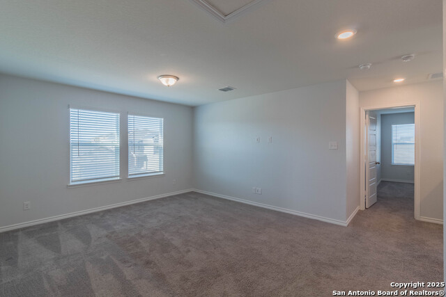 Image 20 of 36 For 14859 Wild Hog