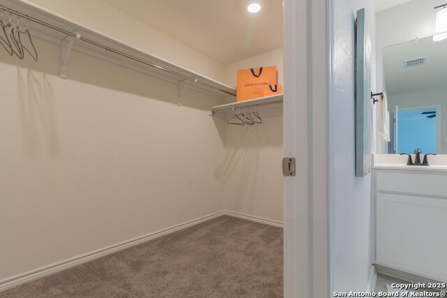 Image 23 of 36 For 14859 Wild Hog